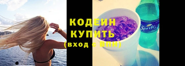 дмт Дмитров