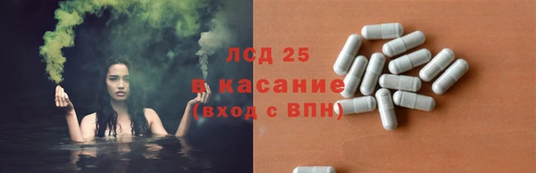 дмт Дмитров