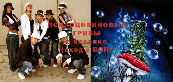 ECSTASY Дмитриев