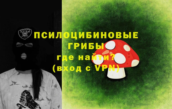 мдпв Нязепетровск