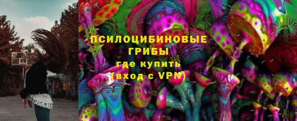 дмт Дмитров