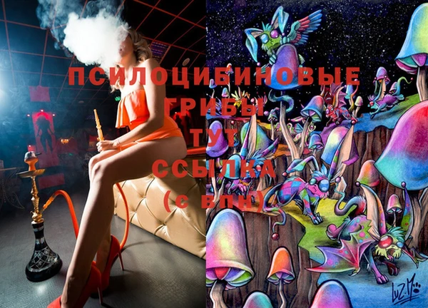 дмт Дмитров