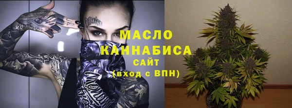 дмт Дмитров