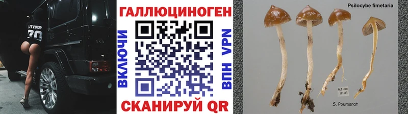 Галлюциногенные грибы мухоморы  Купить закладки  Онега 