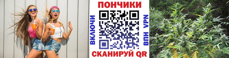 Купить  Онега  Бошки марихуана конопля 